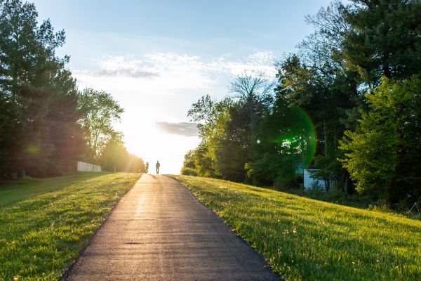 Cost of Asphalt Pathway Installation in Freehold