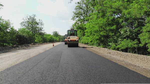 Cost of Custom Asphalt Paving in Freehold
