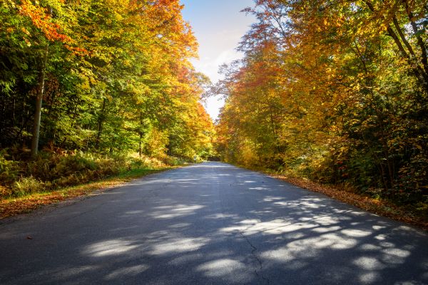 Cost of Blacktop Replacement in Freehold