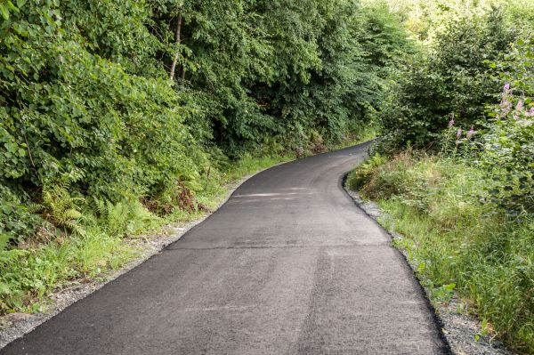 Asphalt Driveway Replacement in Freehold